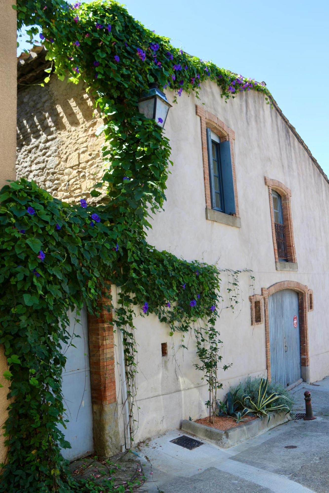 La Cite Secrete Villa Carcassonne Exterior photo